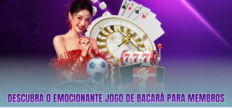 Sistema VIP Premium e Segurança Máxima - Bônus Exclusivos e Benefícios